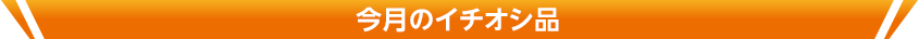 今月のイチオシ品